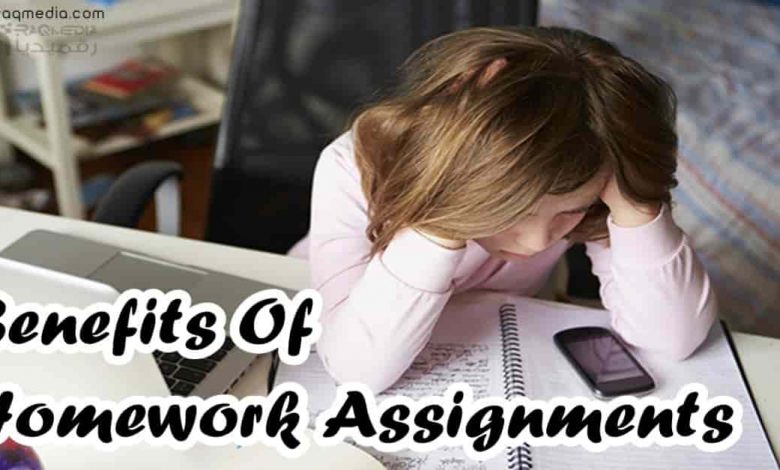 diferencia entre homework y assignment