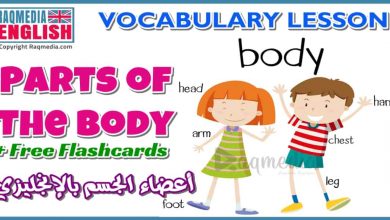 تعليم أسماء أعضاء جسم الإنسان في اللغة الانجليزية ومعانيها بالصوت والصورة