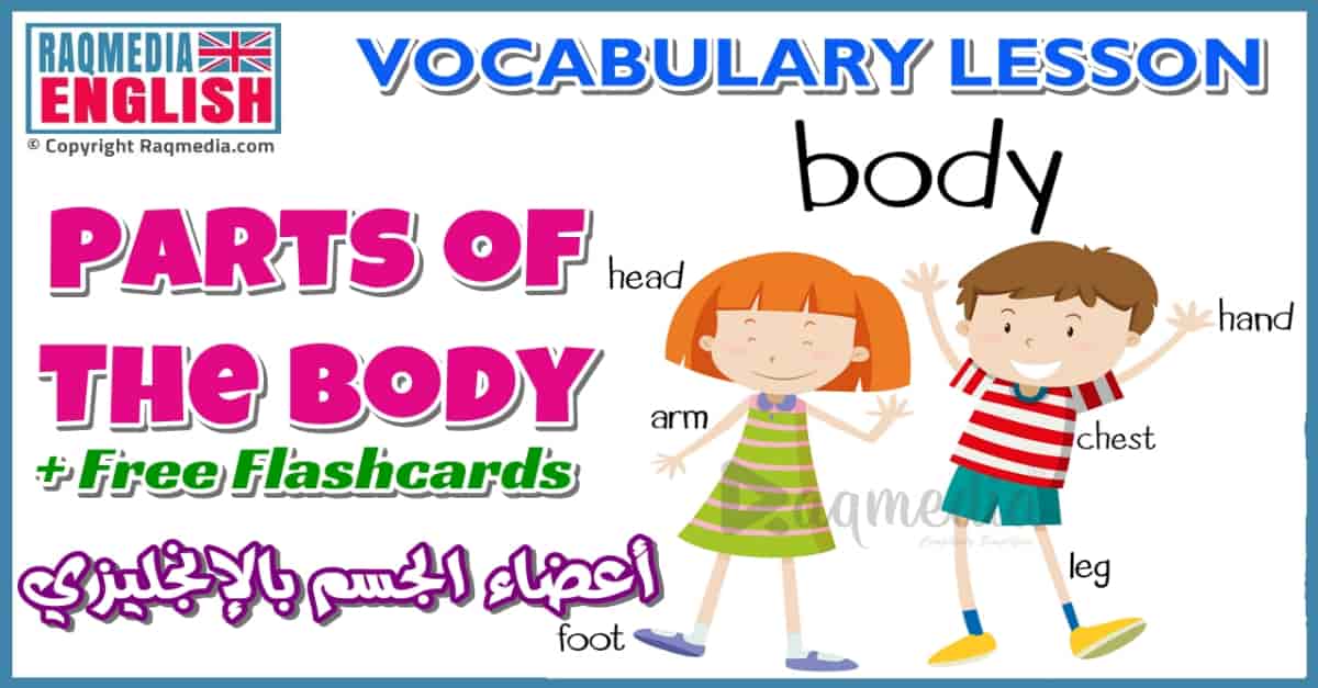 تعليم أسماء أعضاء جسم الإنسان في اللغة الانجليزية ومعانيها بالصوت والصورة