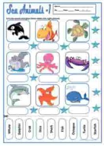 Sea Animals and Reptiles Names Vocabulary Worksheets 1 aquatic-animals-wordsearch-ESL-EFL-downloadable-printable-worksheets-practice-exercises-and-activities-to-teach-about-reptiles-picture-dictionaries_1-raqmedia.com