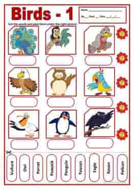 birds-1-activities-wordsearch-ESL-EFL-downloadable-printable-worksheets-practice-exercises-and-activities-to-teach-about-birds-picture-dictionaries