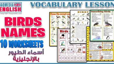 Birds Names Vocabulary, Worksheets and Crosswords 7 أسماء الطيور بالعربية والإنجليزية للمبتدئين بالصوت والصورة