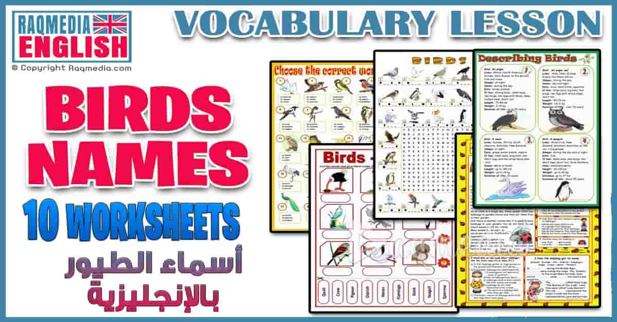 أسماء الطيور بالعربية والإنجليزية للمبتدئين بالصوت والصورة