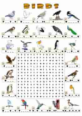 birds-wordsearch_key-ESL-EFL-downloadable-printable-worksheets-practice-exercises-and-activities-to-teach-about-birds-picture-dictionaries
