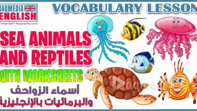 Sea Animals and Reptiles Names Vocabulary Worksheets 17 أسماء الزواحف والبرمائيات بالعربية والإنجليزية للمبتدئين بالصوت والصورة