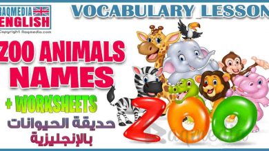 Zoo Animals Names In English - ESL Vocabulary Worksheets 6 أسماء الحيوانات بالعربية والإنجليزية للمبتدئين بالصوت والصورة