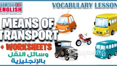 دروس في اللغة الإنجليزية: تعلم أهم مفردات وسائل النقل