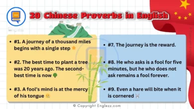Discover 20 Chinese Proverbs in English with Examples 6 20-chinese-proverbs-in-english-with-examples