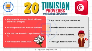 20 Unique Tunisian Proverbs in English with Practical Examples 8 20-tunisian-proverbs-in-english-with-examples