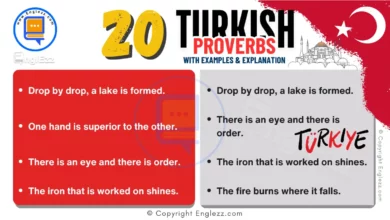 Explore 20 Essential Turkish Proverbs in English with Examples 8 20-turkish-proverbs-in-english-with-examples