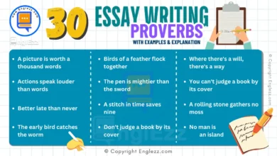 30 Best Proverbs for Essay Writing with Meaning and Examples for Students 6 30-best-proverbs-for-essay-writing
