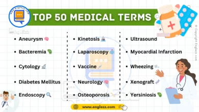 Top 50 Medical English Terms Every Medical Student Should Know 9 top-50-medical-english-terms-every-medical-student-should-know