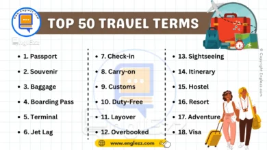 50 Essential Travel English Terms Every Student Must Know 5 50-essential-travel-english-terms-every-student-must-know
