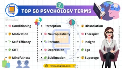 50 Most Common Psychology English Terms Explained with Examples 7 50-most-common-psychology-english-terms-explained-with-examples